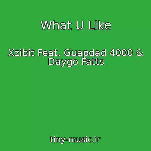 کاور آهنگ What U Like از Xzibit Feat. Guapdad 4000 & Daygo Fatts