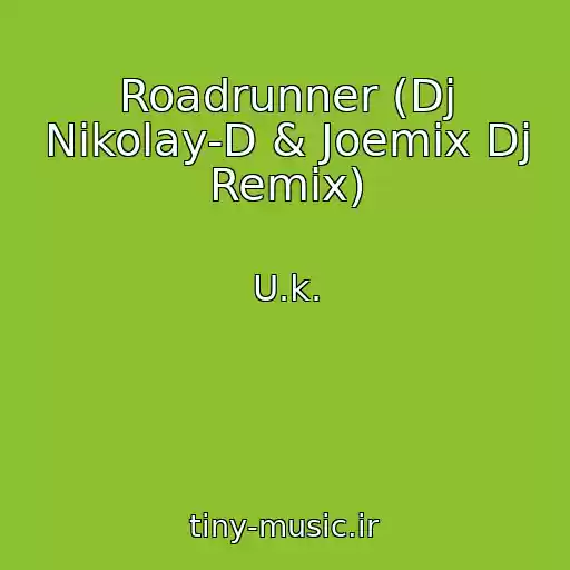 کاور آهنگ Roadrunner (Dj Nikolay-D & Joemix Dj Remix) از U.k.