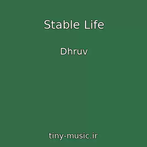 کاور آهنگ Stable Life از Dhruv