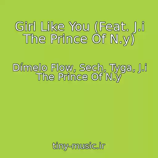 کاور آهنگ Girl Like You (Feat. J.i The Prince Of N.y) از Dímelo Flow, Sech, Tyga, J.i The Prince Of N.y