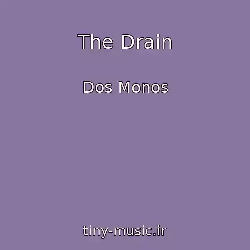 کاور آهنگ The Drain از Dos Monos