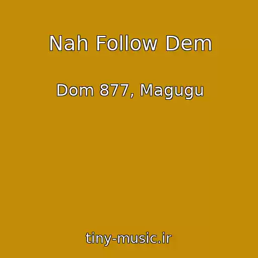 کاور آهنگ Nah Follow Dem از Dom 877, Magugu