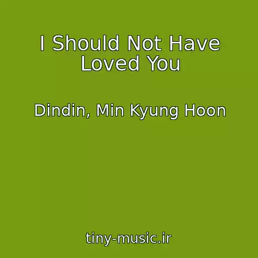 کاور آهنگ I Should Not Have Loved You از Dindin, Min Kyung Hoon