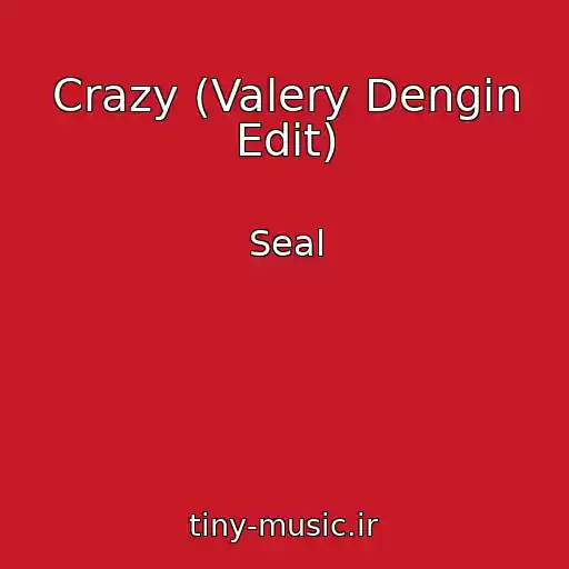 کاور آهنگ Crazy (Valery Dengin Edit) از Seal