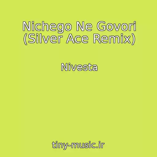 کاور آهنگ Nichego Ne Govori (Silver Ace Remix) از Nivesta