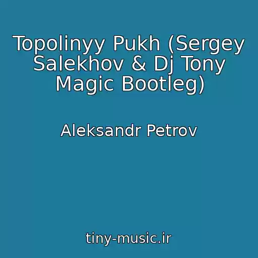 کاور آهنگ Topolinyy Pukh (Sergey Salekhov & Dj Tony Magic Bootleg) از Aleksandr Petrov