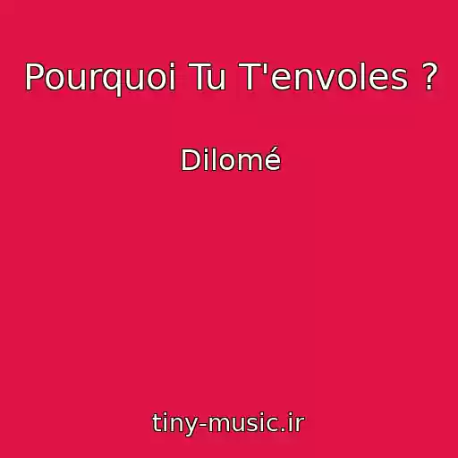 کاور آهنگ Pourquoi Tu T'envoles ? از Dilomé