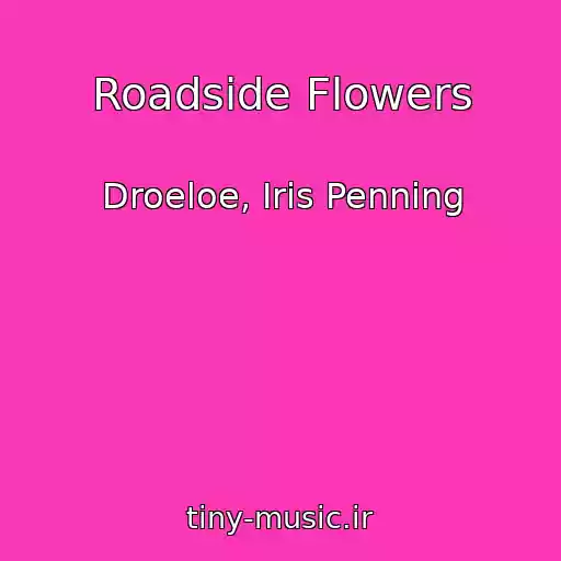 کاور آهنگ Roadside Flowers از Droeloe, Iris Penning