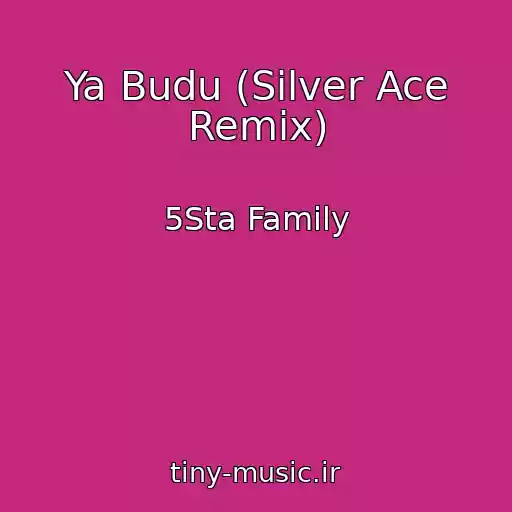 کاور آهنگ Ya Budu (Silver Ace Remix) از 5Sta Family