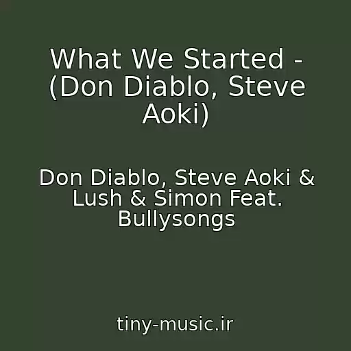 کاور آهنگ What We Started - (Don Diablo, Steve Aoki) از Don Diablo, Steve Aoki & Lush & Simon Feat. Bullysongs