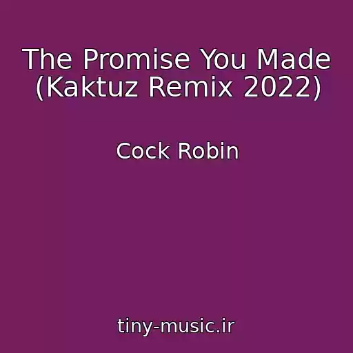 کاور آهنگ The Promise You Made (Kaktuz Remix 2022) از Cock Robin