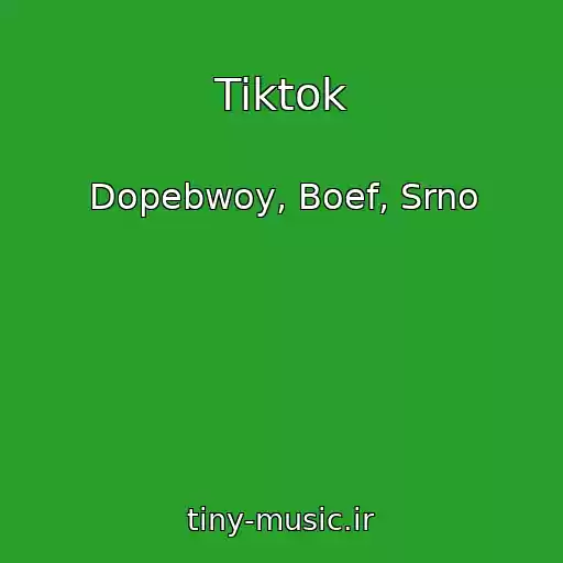کاور آهنگ Tiktok از Dopebwoy, Boef, Srno