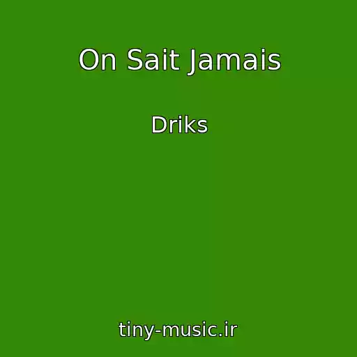 کاور آهنگ On Sait Jamais از Driks