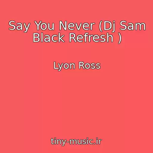 کاور آهنگ Say You Never (Dj Sam Black Refresh ) از Lyon Ross