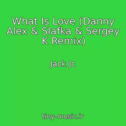 کاور آهنگ What Is Love (Danny Alex & Slafka & Sergey K Remix) از Jack Jc
