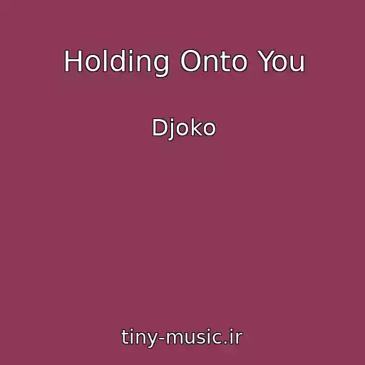 کاور آهنگ Holding Onto You از Djoko