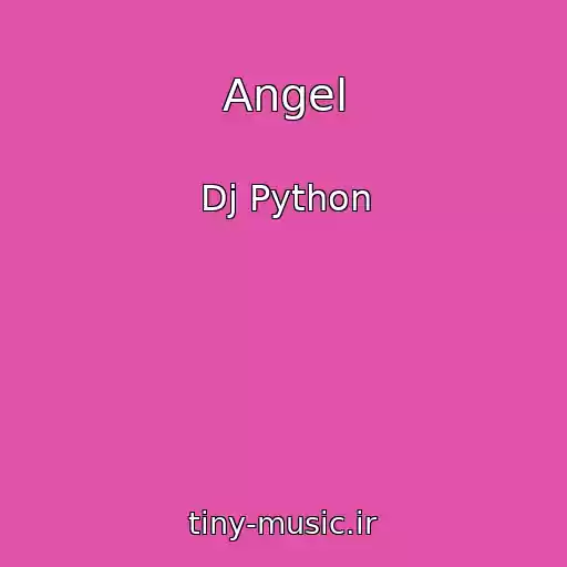 کاور آهنگ Angel از Dj Python