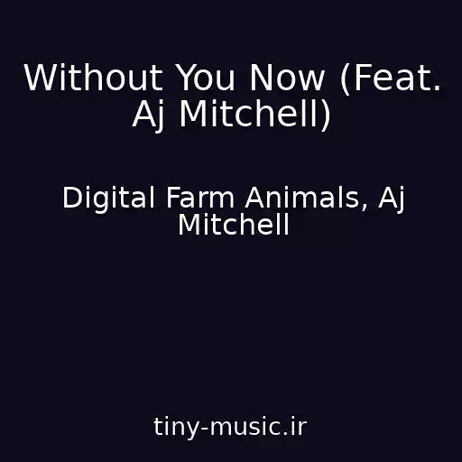 کاور آهنگ Without You Now (Feat. Aj Mitchell) از Digital Farm Animals, Aj Mitchell