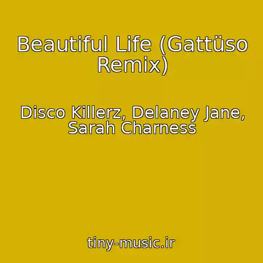 کاور آهنگ Beautiful Life (Gattüso Remix) از Disco Killerz, Delaney Jane, Sarah Charness