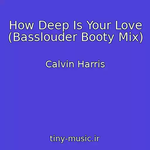 کاور آهنگ How Deep Is Your Love (Basslouder Booty Mix) از Calvin Harris