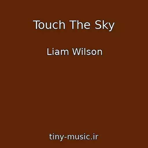 کاور آهنگ Touch The Sky از Liam Wilson