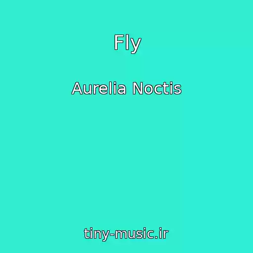 کاور آهنگ Fly از Aurelia Noctis