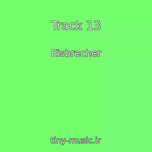 کاور آهنگ Track 13 از Eisbrecher