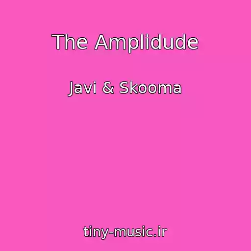 کاور آهنگ The Amplidude از Javi & Skooma