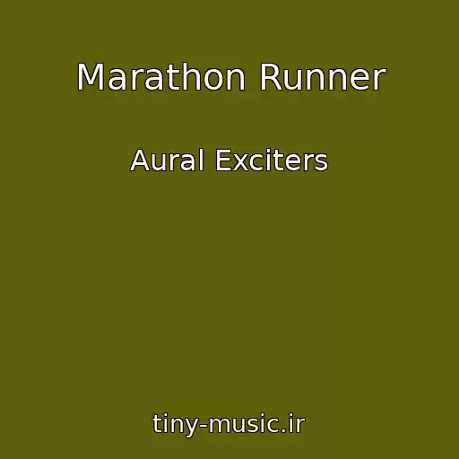 کاور آهنگ Marathon Runner از Aural Exciters