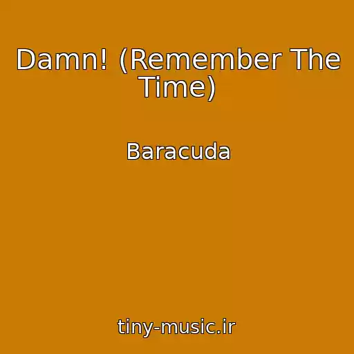 کاور آهنگ Damn! (Remember The Time) از Baracuda