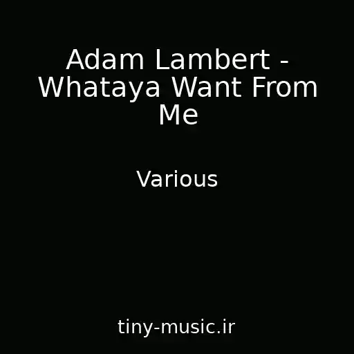 کاور آهنگ Adam Lambert - Whataya Want From Me از Various