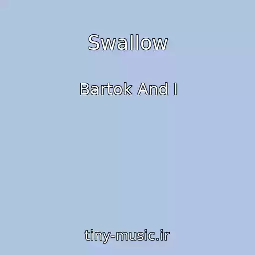 کاور آهنگ Swallow از Bartok And I