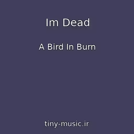 کاور آهنگ Im Dead از A Bird In Burn