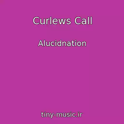 کاور آهنگ Curlews Call از Alucidnation