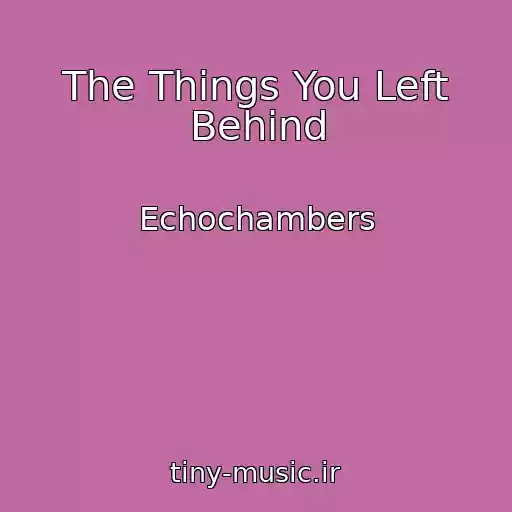 کاور آهنگ The Things You Left Behind از Echochambers
