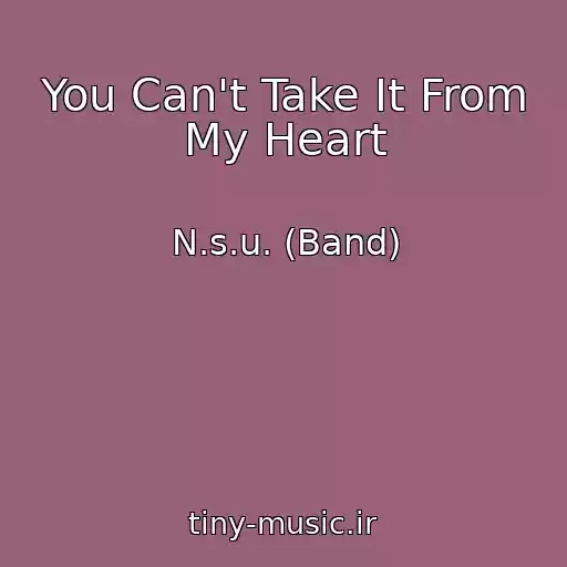 کاور آهنگ You Can't Take It From My Heart از N.s.u. (Band)