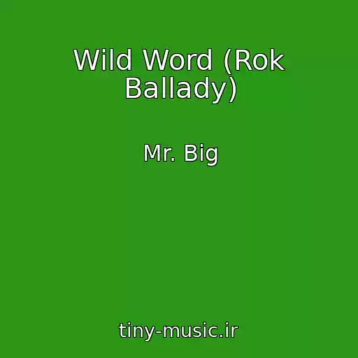 کاور آهنگ Wild Word (Rok Ballady) از Mr. Big