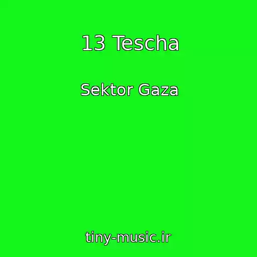 کاور آهنگ 13 Tescha از Sektor Gaza