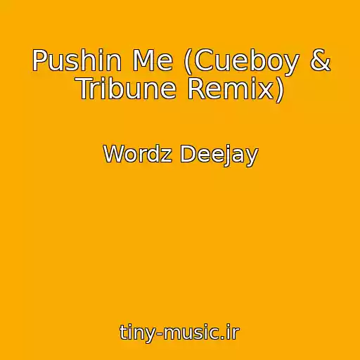 کاور آهنگ Pushin Me (Cueboy & Tribune Remix) از Wordz Deejay