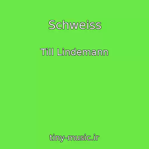 کاور آهنگ Schweiss از Till Lindemann