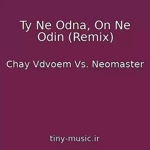 کاور آهنگ Ty Ne Odna, On Ne Odin (Remix) از Chay Vdvoem Vs. Neomaster