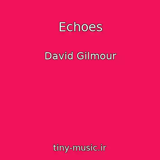 کاور آهنگ Echoes از David Gilmour