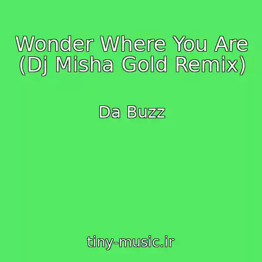 کاور آهنگ Wonder Where You Are (Dj Misha Gold Remix) از Da Buzz