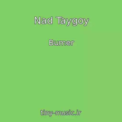 کاور آهنگ Nad Taygoy از Bumer