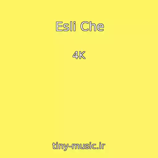 کاور آهنگ Esli Che از 4K