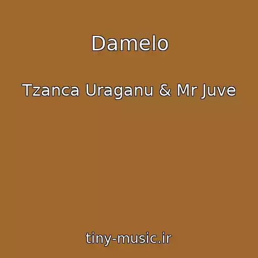 کاور آهنگ Damelo از Tzanca Uraganu & Mr Juve