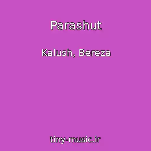 کاور آهنگ Parashut از Kalush, Bereza