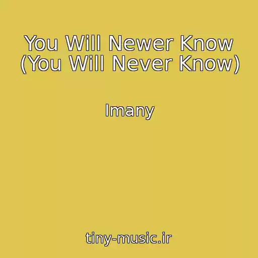 کاور آهنگ You Will Newer Know (You Will Never Know) از Imany