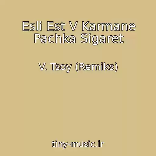 کاور آهنگ Esli Est V Karmane Pachka Sigaret از V. Tsoy (Remiks)