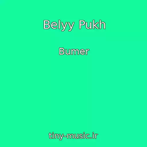 کاور آهنگ Belyy Pukh از Bumer